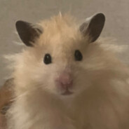 花束からの始り