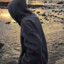 Artol