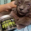CATZAZA