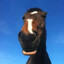 󠁳 ⁧big ahh horse