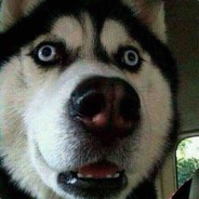 时长两年半练习生