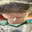 _Pasha_Biceps$$ skins.army