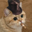 Smoking cat