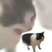 尖叫的芝麻面包