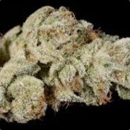 I is cotton not weed