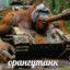 АПЕЛЬСИН