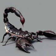 Scorpion - steam id 76561198359538055