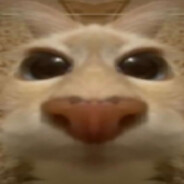 Yamii--