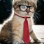 Smart Cat