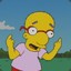 Milhouse V.H