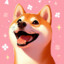 Perro