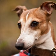 aaaaaaaaaaaaaaaaaaaaaaaaaaaaaaaa