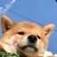 江屿