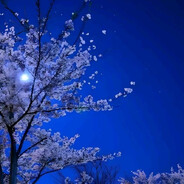 Mirofik - steam id 76561198777169169