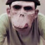 kongquest
