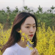 猪猫，猫头猪身