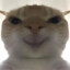 meow  BaWerT-T