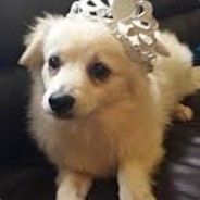King Borky the 3rd