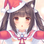 左皋丸腾 右皋丸野腾