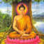 The Buddha