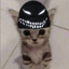 tinny
