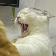 当然是一条咸鱼咯