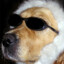 sergeydoc