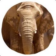 Angry_Elephant_d*_-b_