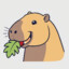 Kapybara_eats