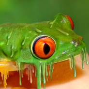 liquid frog