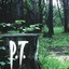 P.t