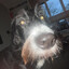 Bert_kok024