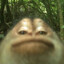 Torpi_