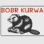 Bobr Kurwa