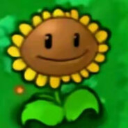 今天先不产阳光了