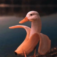 Goose