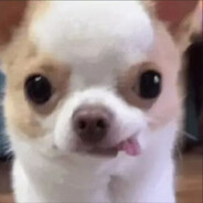 想想小蛇会怎么做