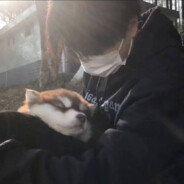 陈冠希