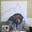 SemSober