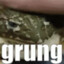 grungthefrog