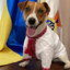 ПесПатронович