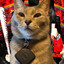 Steam avatar