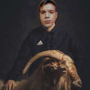 MIKING BOD-UN VIVAN LOS NOVI