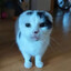 Earbert