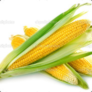 corn®