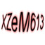 XZeM613