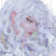 griffith