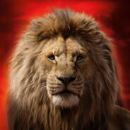 MUFASA
