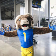 小枪一马乀没有身法