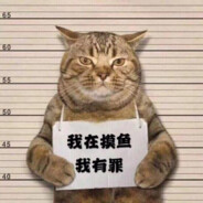 偷只猪就来